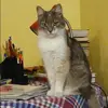 Отзыв от Василиса Крючкова